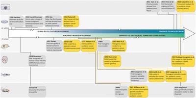 Future Match Making: When Pediatric Oncology Meets Organoid Technology